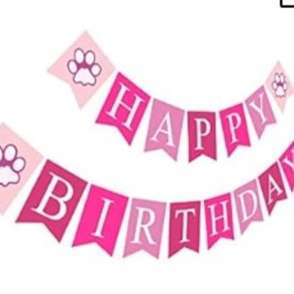 HAPPY BIRTHDAY DOG BANDANA HAT BANNER PARTY SET, PINK - Picture 4 of 12